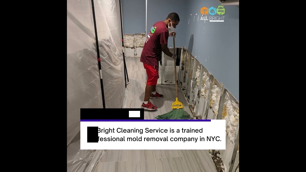 Mold Removal and Mold Remediation Experts NYC | All Bright Services