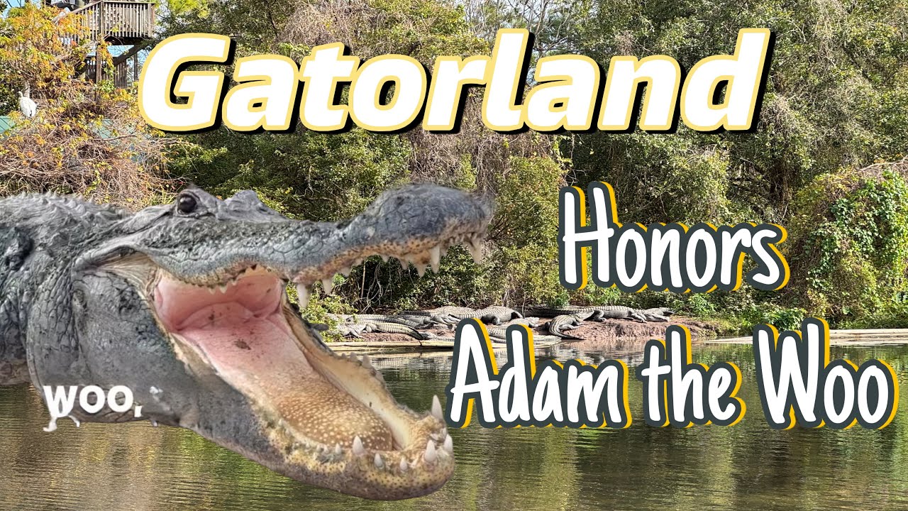 Gatorland - Searching for the Gator they Call “The Woo” #gatorland #kissimmeefl 