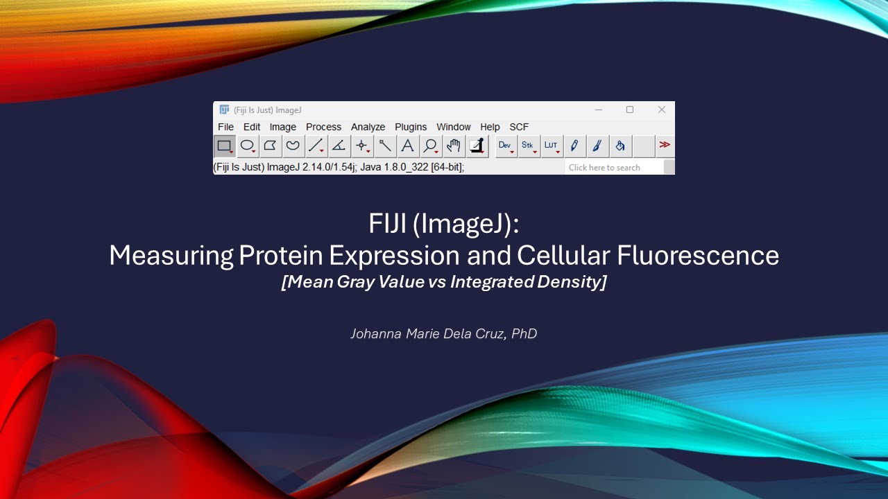 Measuring Protein Expression and Cellular Fluorescence [Mean Gray Value vs Integrated Density]
