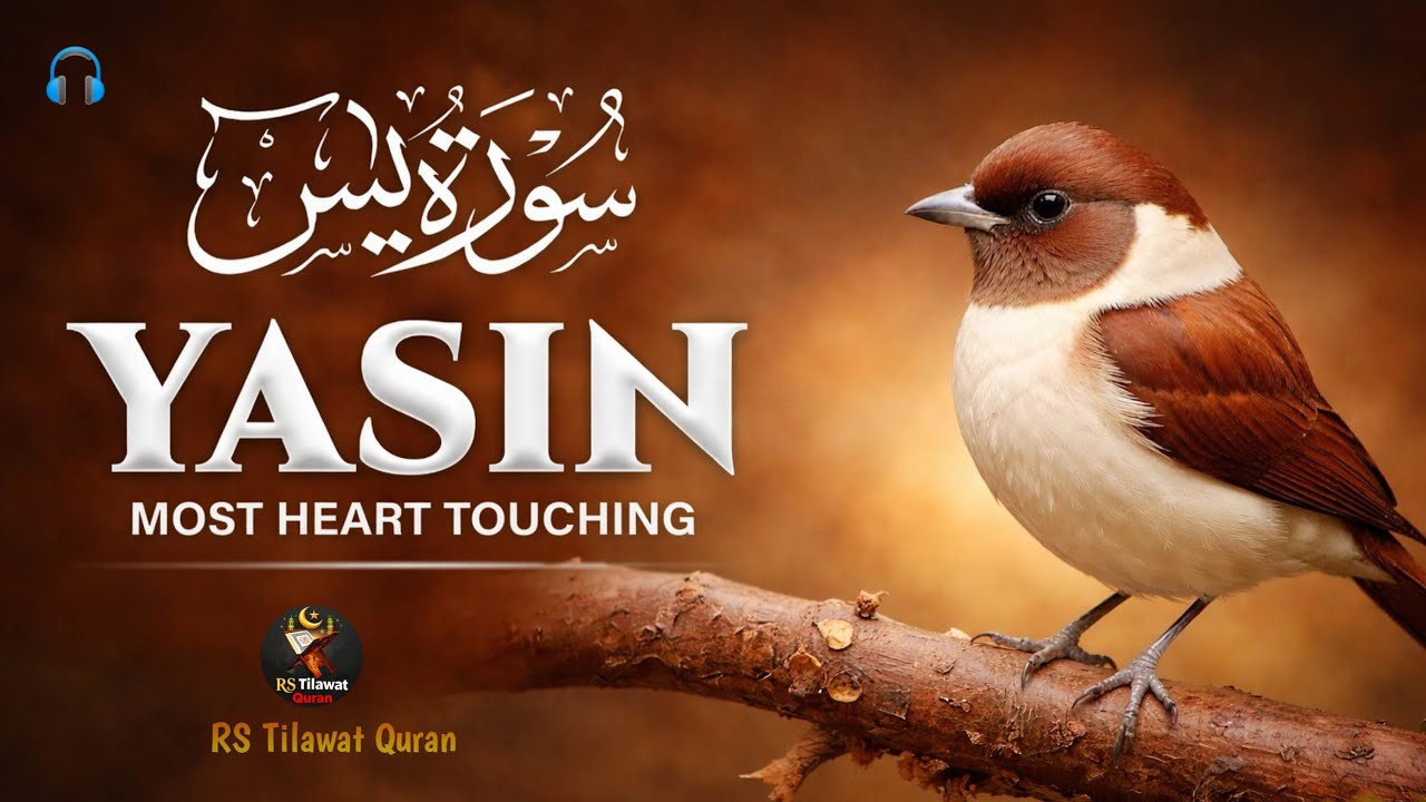 Surah Yaseen Recitation for Peace and Healing | Surah Yasin Full | RS Tilawat Quran