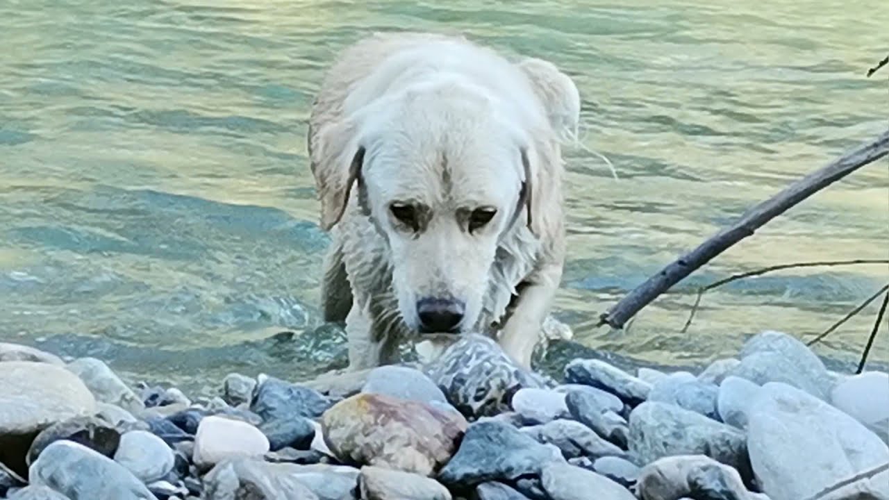 Flusswandern Enns von Schladming bis Gesäuse-Eingang im Gumotex Swing 2 (Untertitel einschalten!)