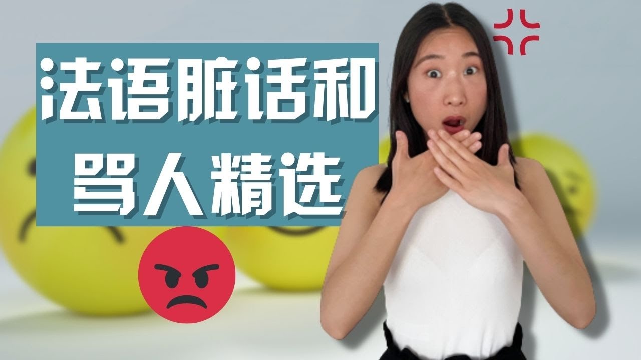 法语脏话和骂人精选 Les gros mots et les insultes en français 🤬🤬