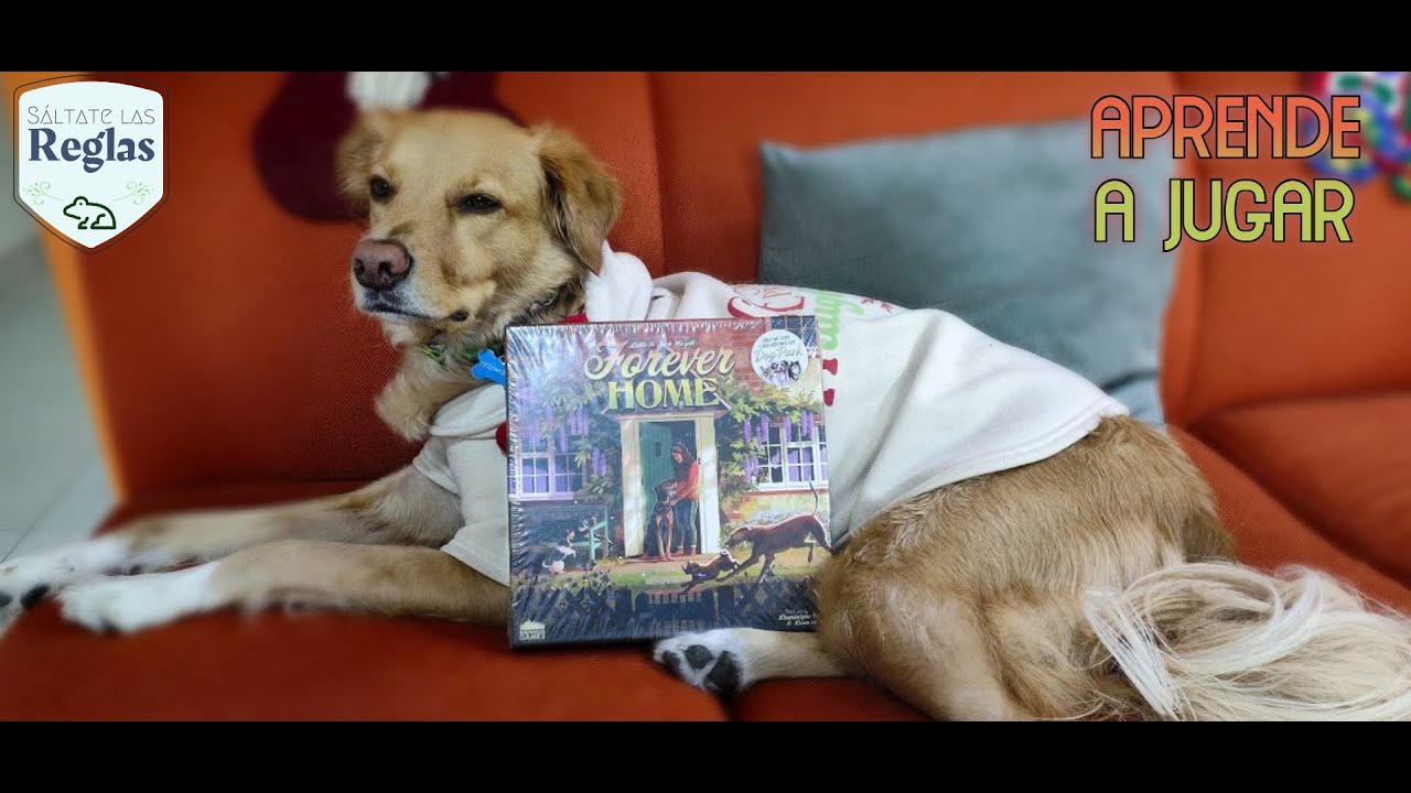 Sáltate las reglas y aprende a jugar "Forever Home" - Kaeru Games