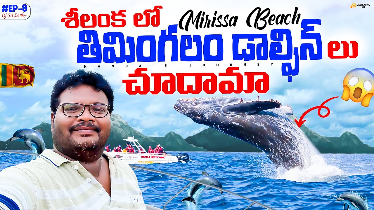 Mirissa full tour in telugu | Mirissa beach | Whale watching | Dolphins watching | Ep-8 of Sri Lanka