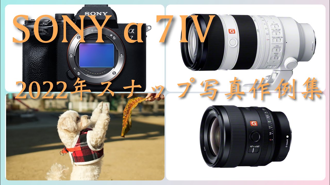 【SONY&alpha;７】2022年スナップ写真 作例集 　2022 snapshot Collection of examples