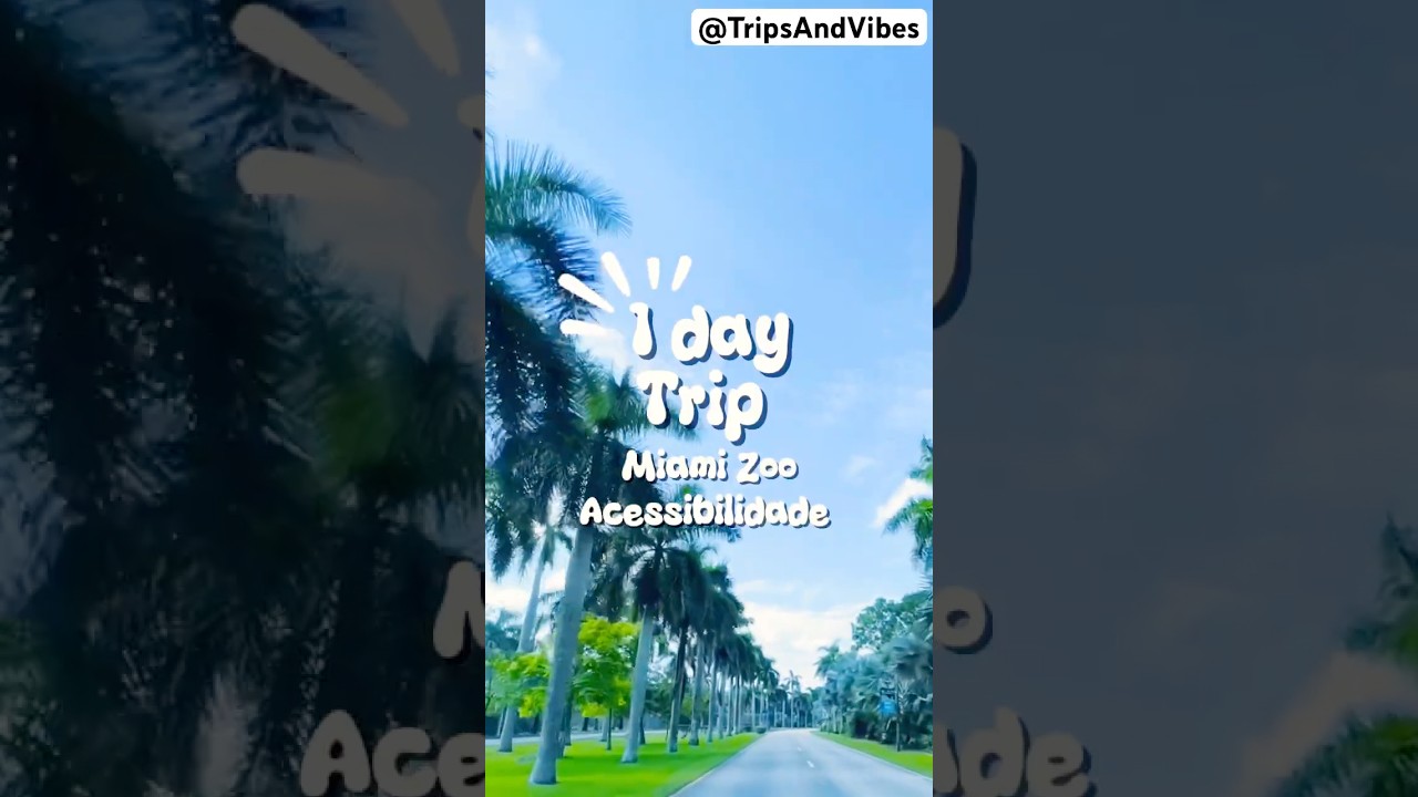 1 day trip: Acessibilidade 