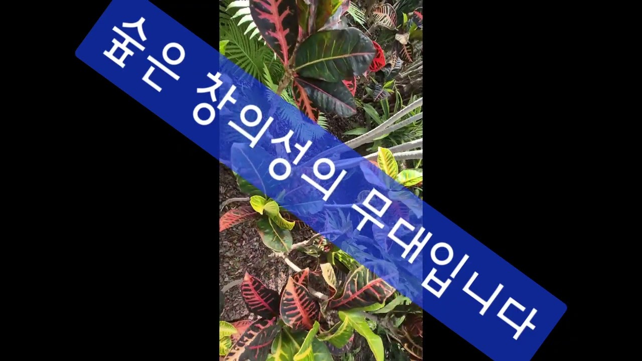 #유아숲교육목표 ― 나무와 풀을 기르는 사람의 눈으로 바라본 숲교육 /숲은 아이의 몸을 단련시키는 가장 넓은 교실입니다. #유아숲교육