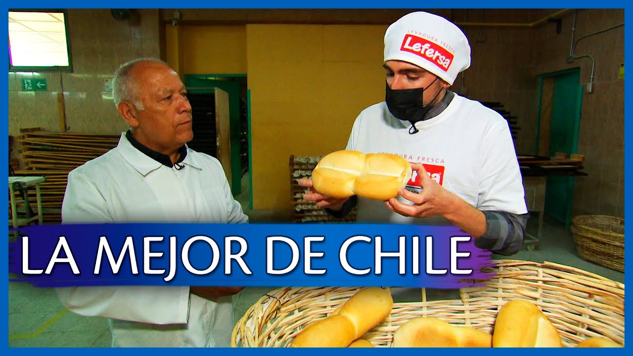 🍞 ASÍ se PREPARA la MEJOR MARRAQUETA CHILENA 🥖
