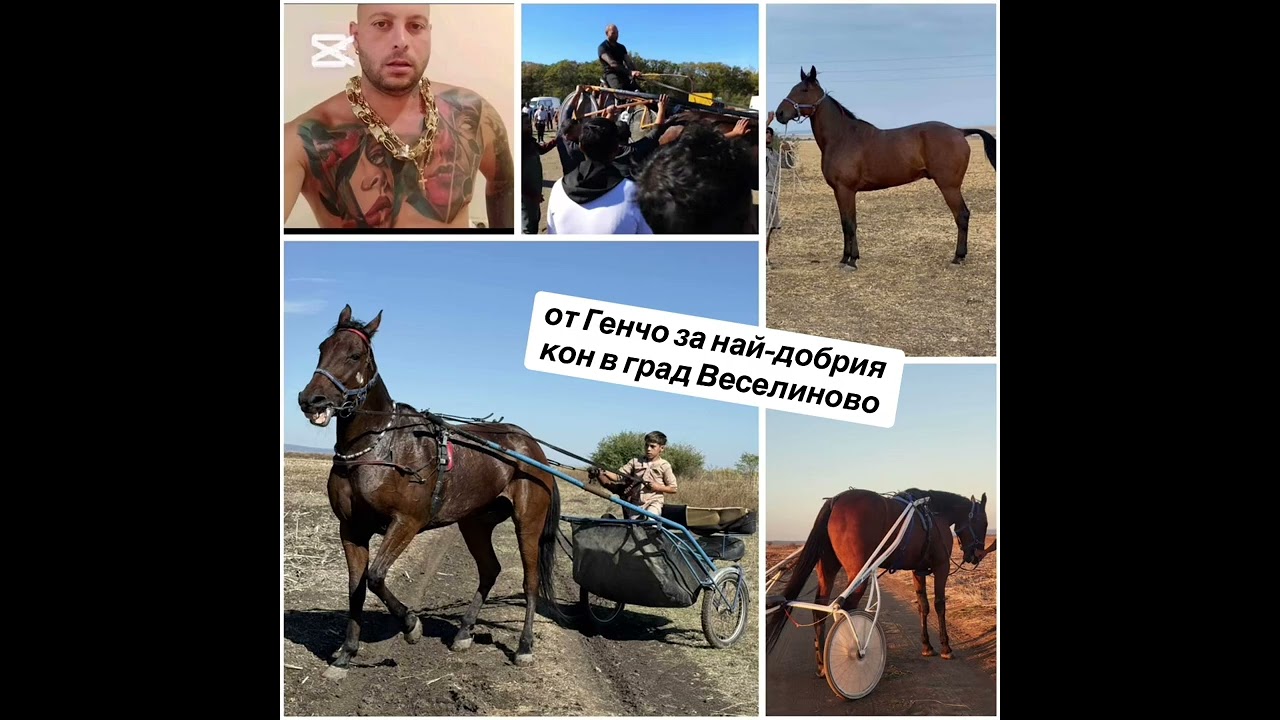 от Генчо за най-добрия кон в град Веселиново