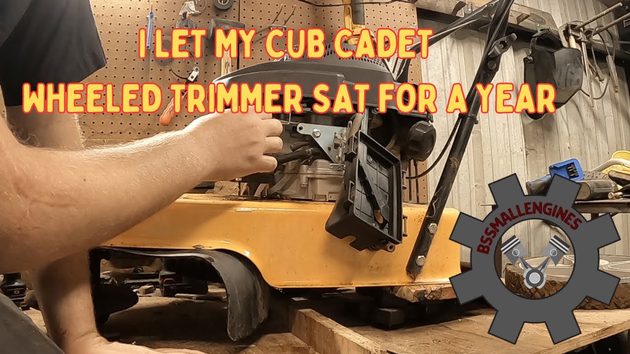 Я оставил свой колесный триммер Cub Cadet на год.