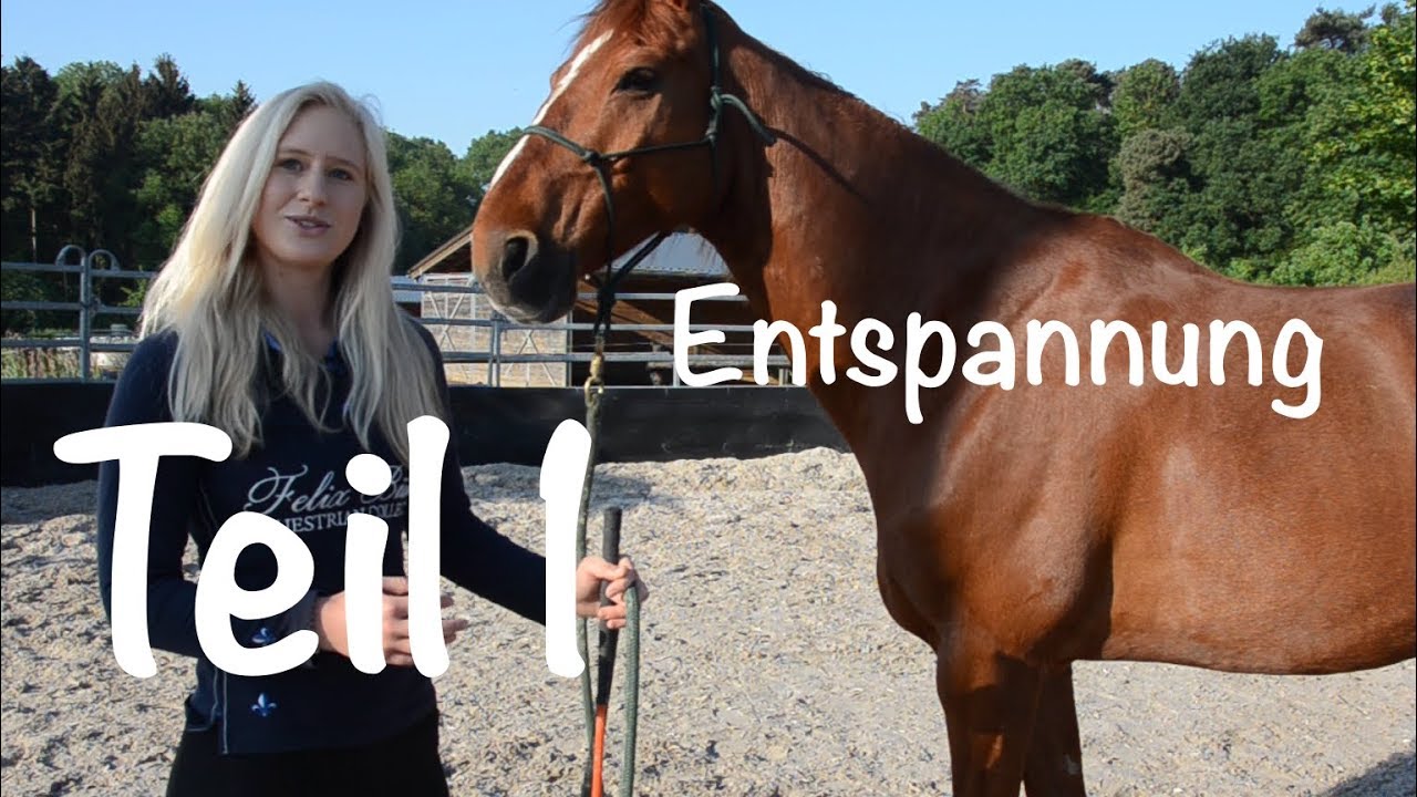Natural Horsemanship: Losgelassenheit und Entspannung