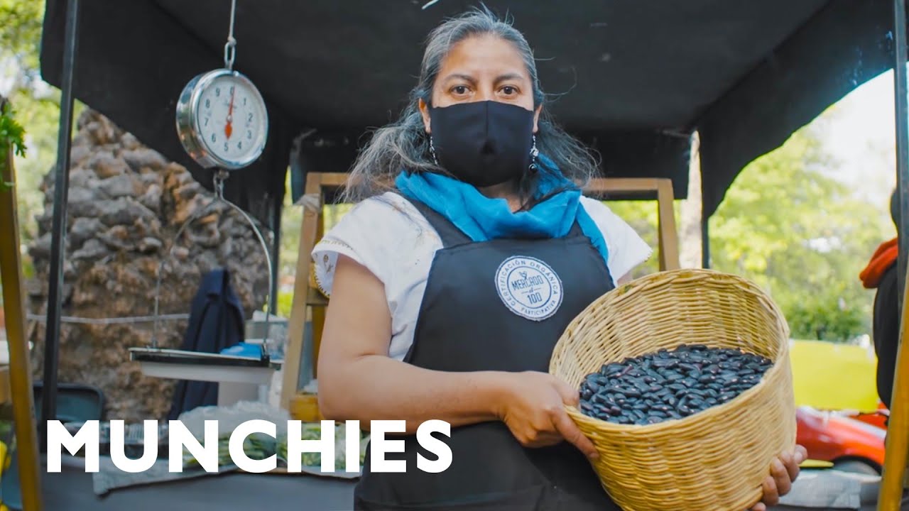 Saving Mexico’s Native Beans from Extinction