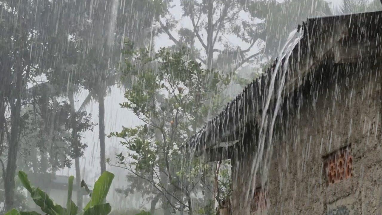 Natural Rain Sounds 🌧️ Indonesian Countryside Ambience for Relaxation