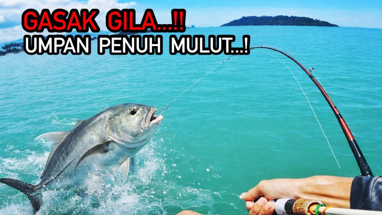 RAHSIA UMPAN || JAMBATAN PERTAMA PULAU PINANG #fishing #casting #jambatan #fishingbait 