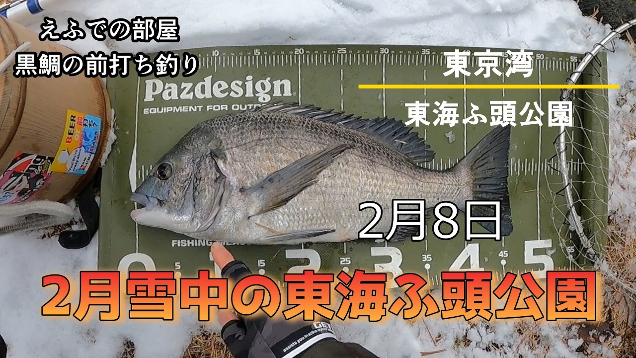 東京湾の前打ち：2月雪中の東海ふ頭公園