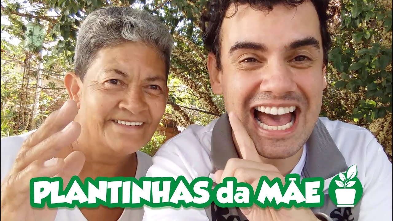 TOUR PELAS PLANTINHAS DA CASA DA MÃE - Fubá online