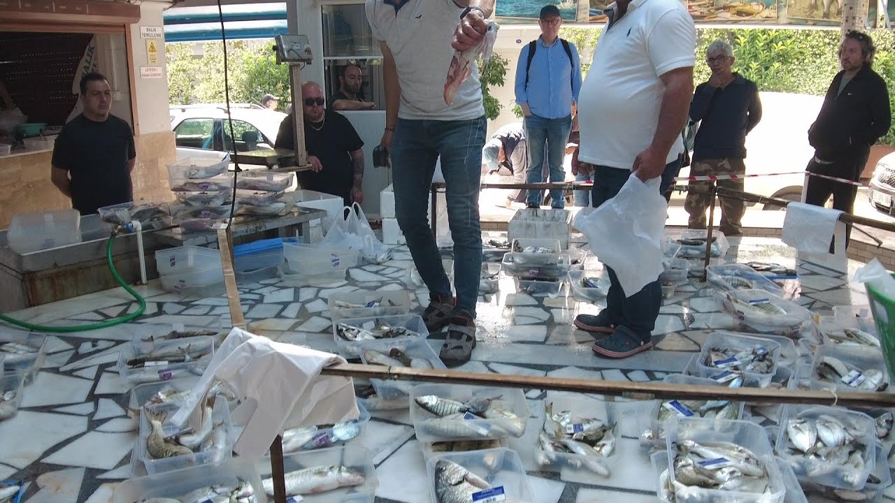 MUHTEŞEM BALIK FESTİVALİ URLA DA #fishing #keşfetteyiz #keşfet #squid #octopus #fishing