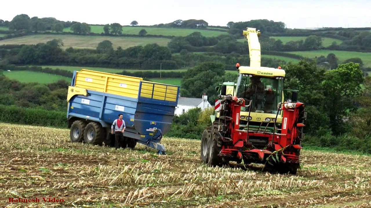 Maize Harvest with New Krone BigX 700