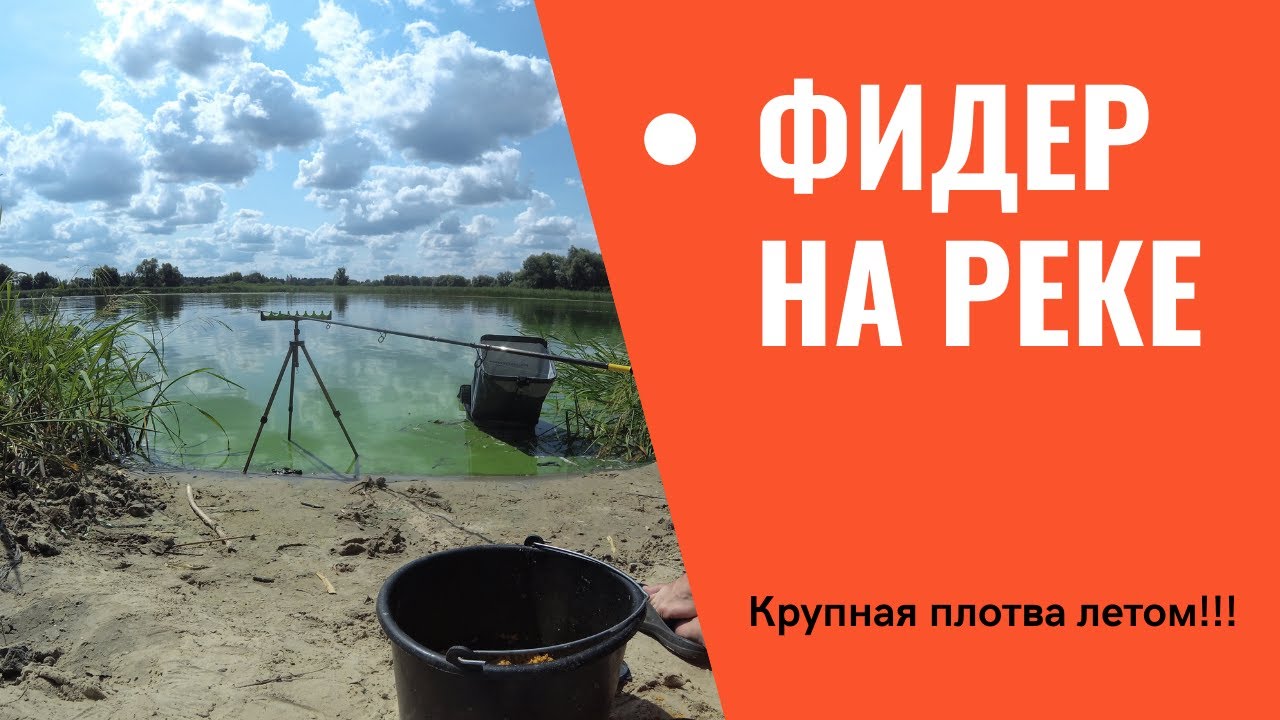 Рыбалка на Днепре (Черкасская обл.) 24.08.2021