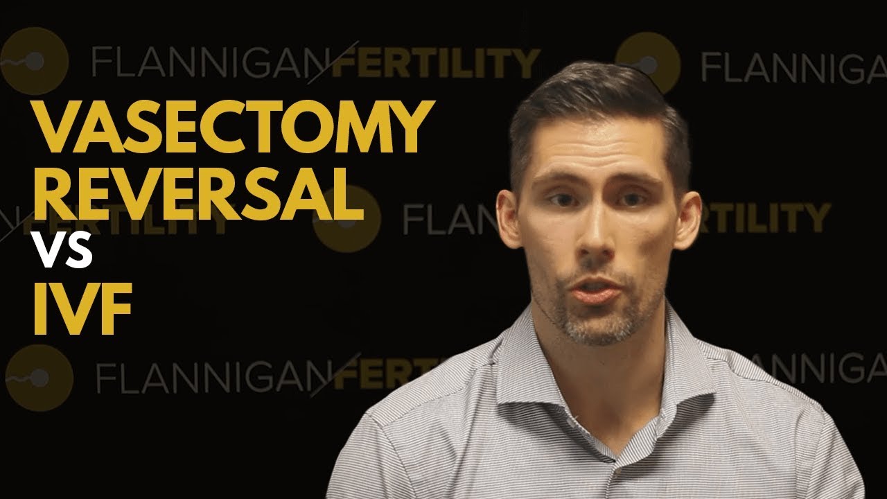 Choosing Between Vasectomy Reversal & IVF?