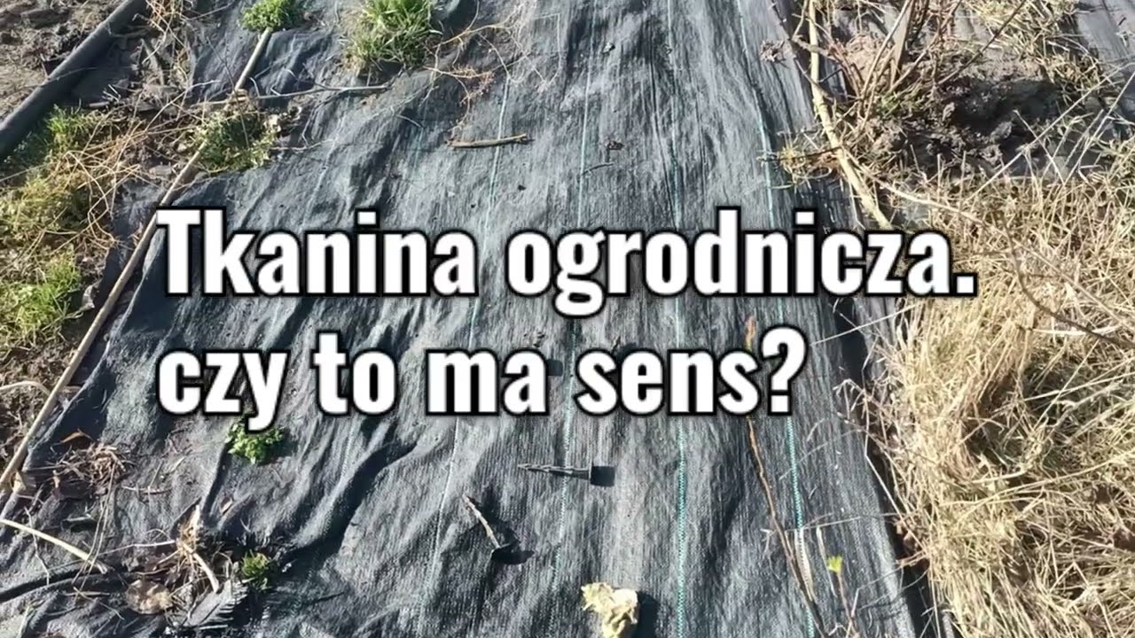 Agrotkanina. Czy to ma sens?