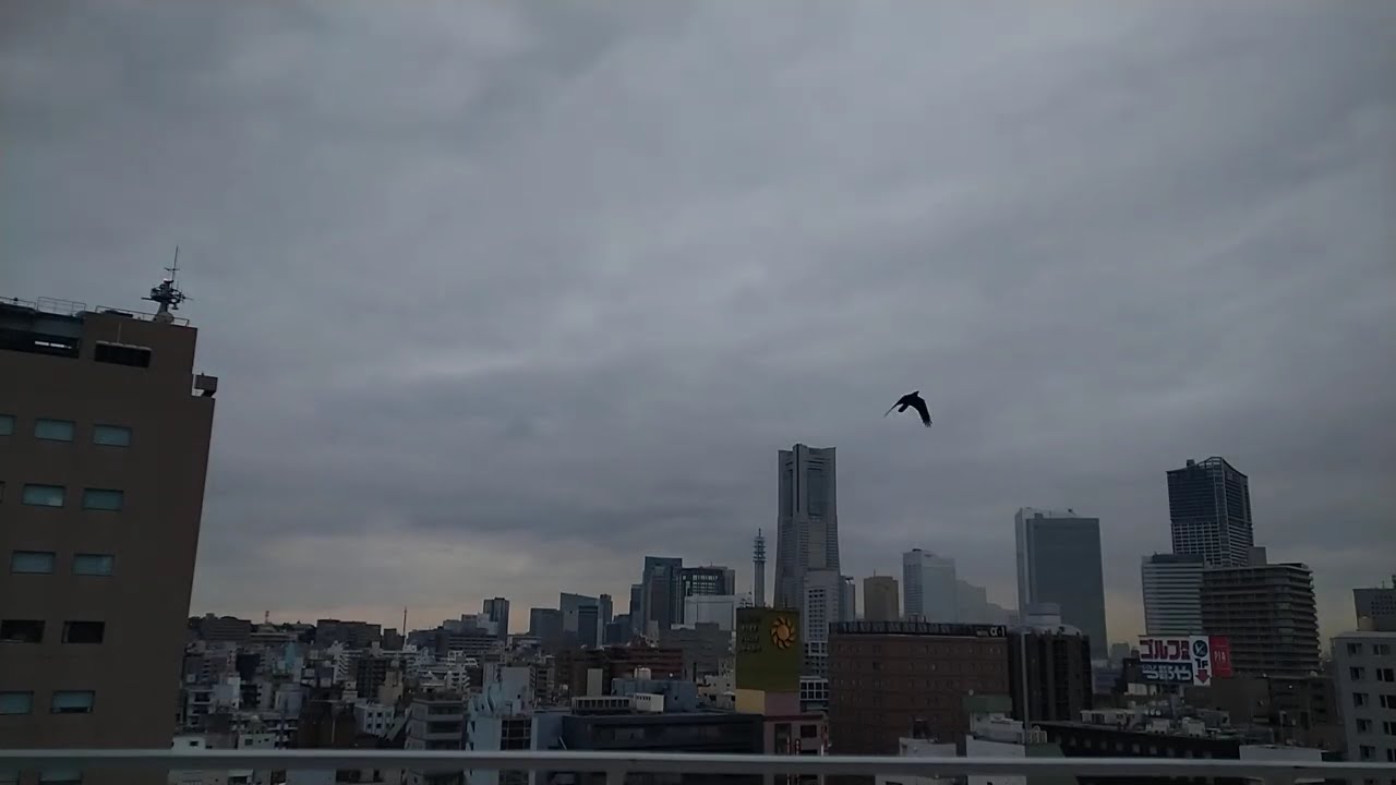 【タイムラプス】雨、どんより、ランドマークタワーの遠景 2025年3月中旬(2)e