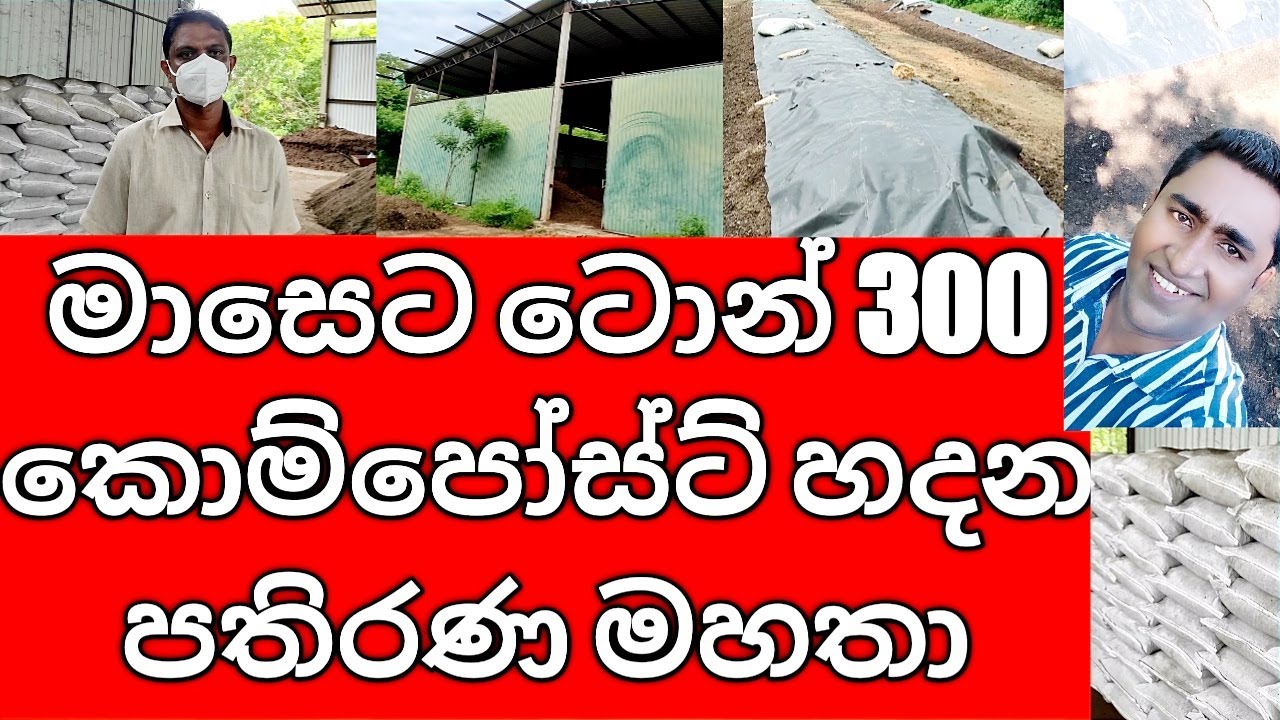 Large scale Compost Production Factory in Sri Lanka