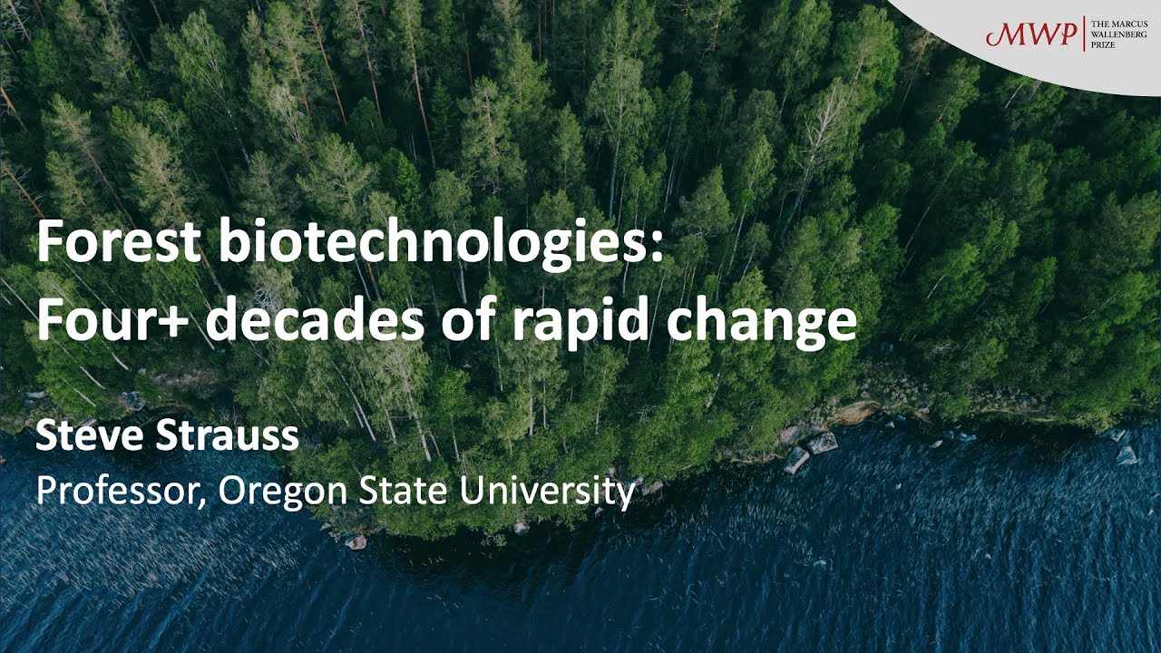 MWP Symposium 2025 &ndash; Steve Strauss