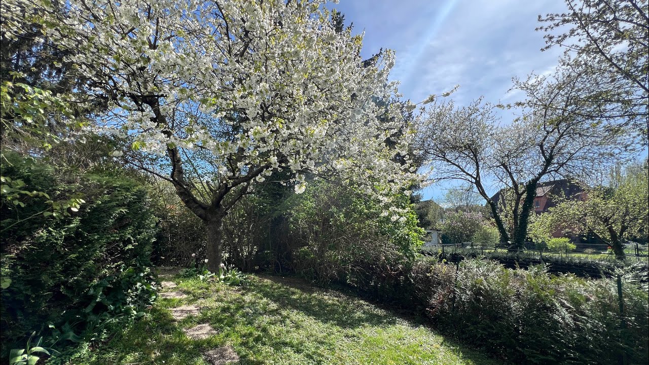 Strasbourg Robertsau : jardin privatif de 250m2 !