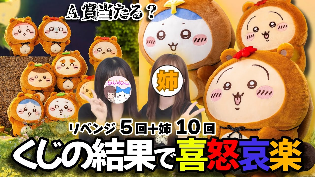 【ちいかわ】話題の「たぬきくじ」姉妹でガンガン回していく！【chiikawa】
