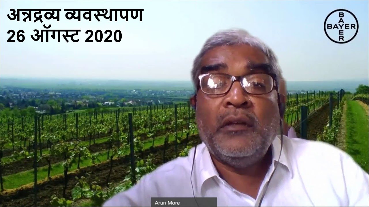 Grape Nutrition Management: Fertilizer Management in Vineyard (Marathi) | Bayer Crop Science India