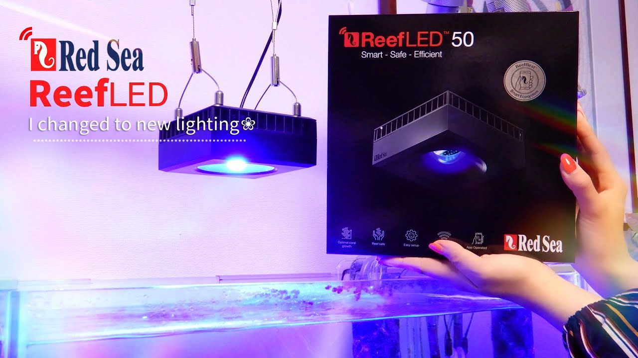 水槽のライトをRed SeaのReefLEDに新調しました❀海水魚水槽 アクアリウム