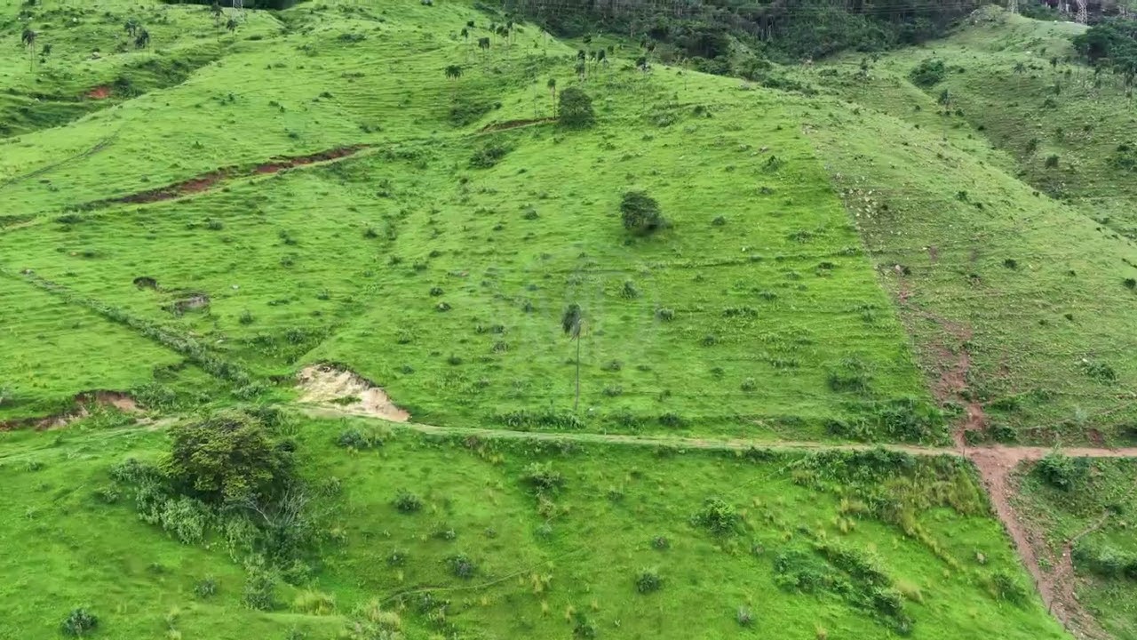 27 Alqueires Carmo Ilicinea