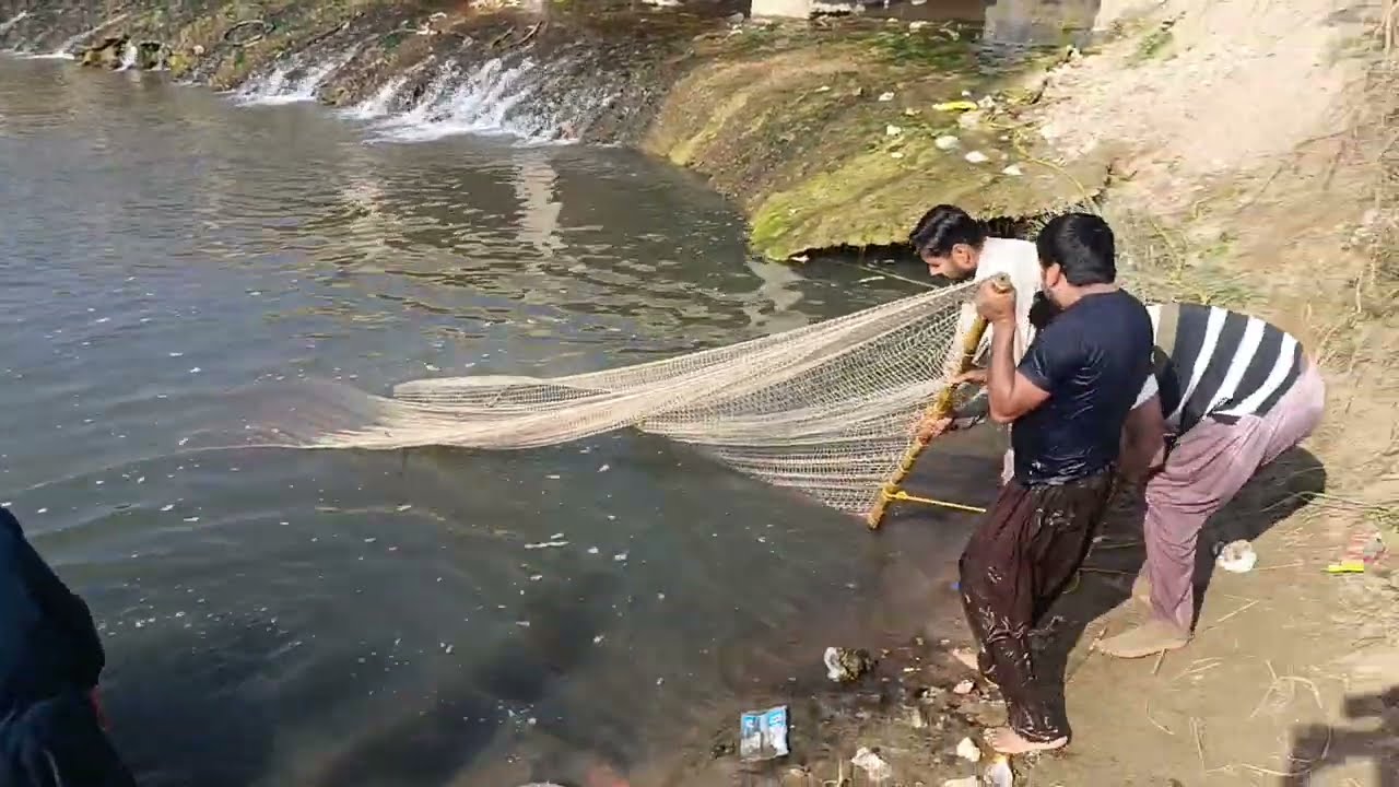 Amezing fishing net fishing fish hinting video 