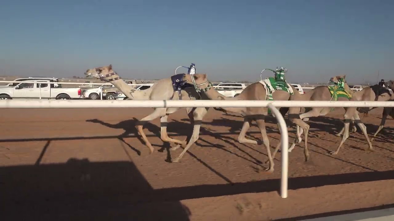 ش6قعدان حقايق الحذر ل فهد بشير الشمري