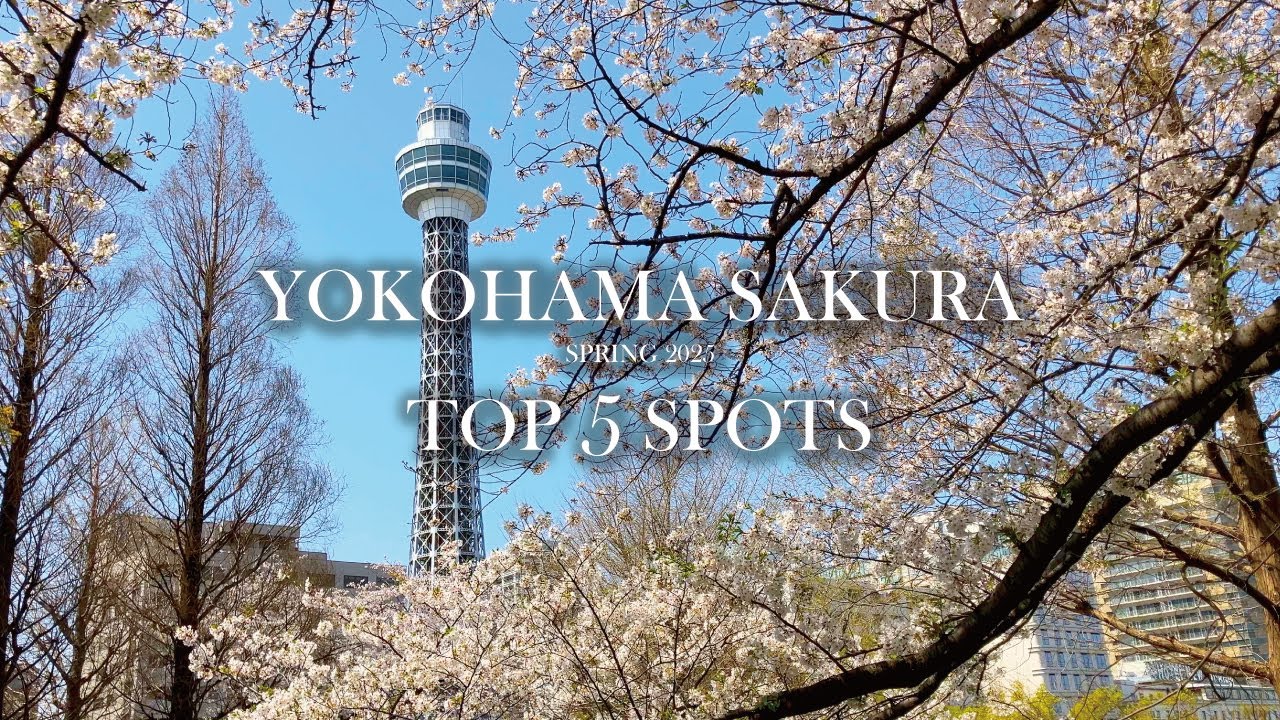 Best Places to See Cherry Blossoms in Yokohama 🌸 Top 5 Sakura Spots | Spring 2025 Guide (Part 1)