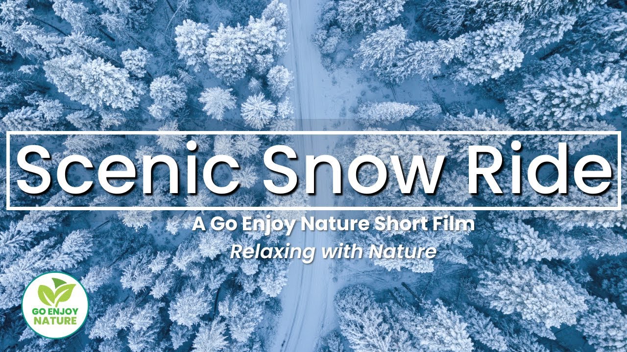 Relaxing Spectacular Snow Ride with Soft Music: Calm Relaxing Instrumental Piano Music Short Film