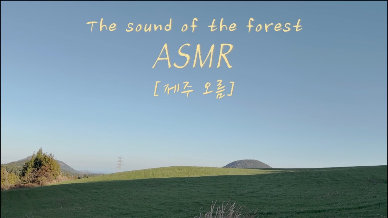 제주 숲 자연소리 1분 후 부터 블랙화면 [ 2 Hours of Deep Forest ASMR : A Private Walk in Jeju Island ]  #forestasmr 