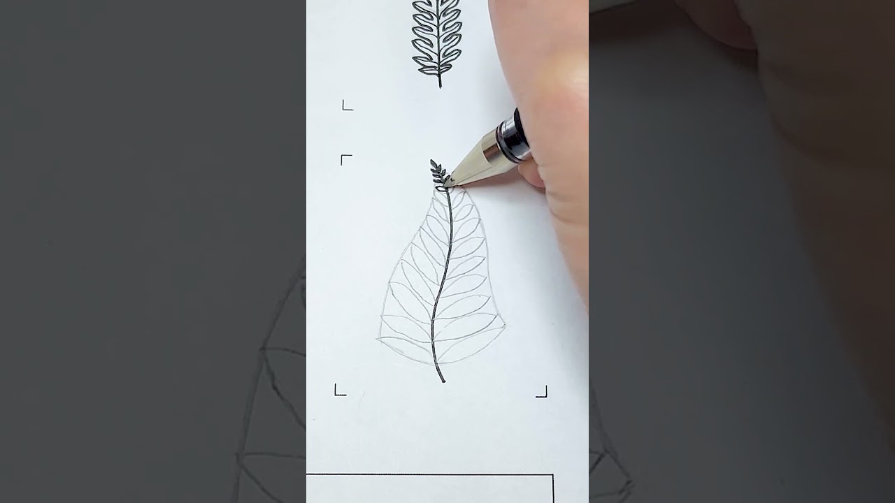 Who knew drawing a fern could be so fun 🤣 You need a little patience to draw this one #flowerdrawing