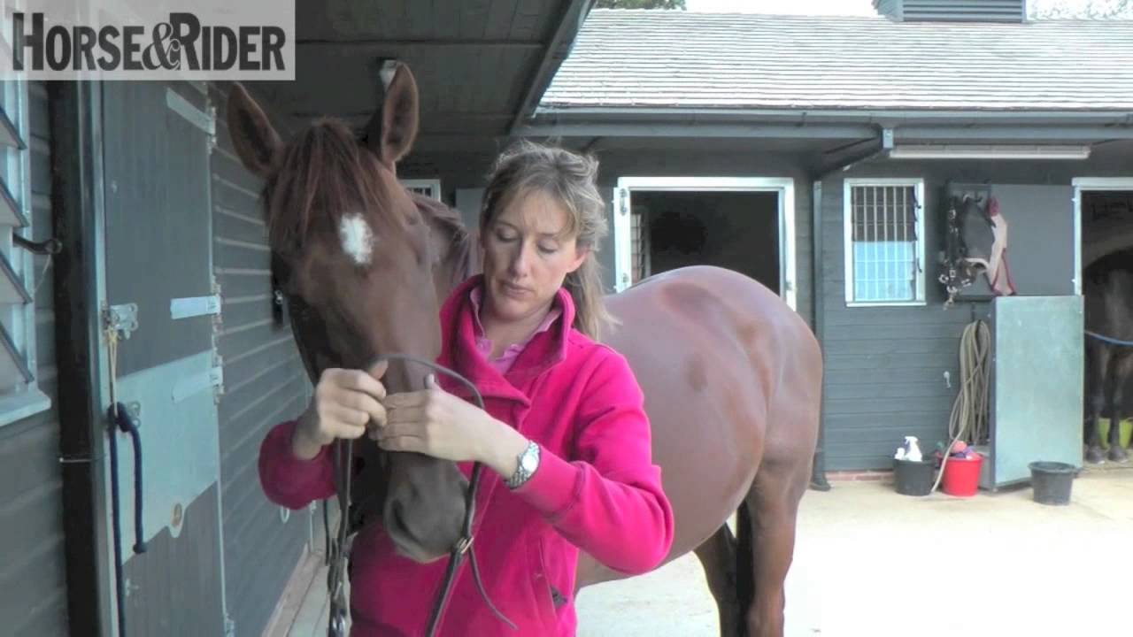 Лучшие советы Джо Джексона | Как установить мундштук | HorseandRider UK