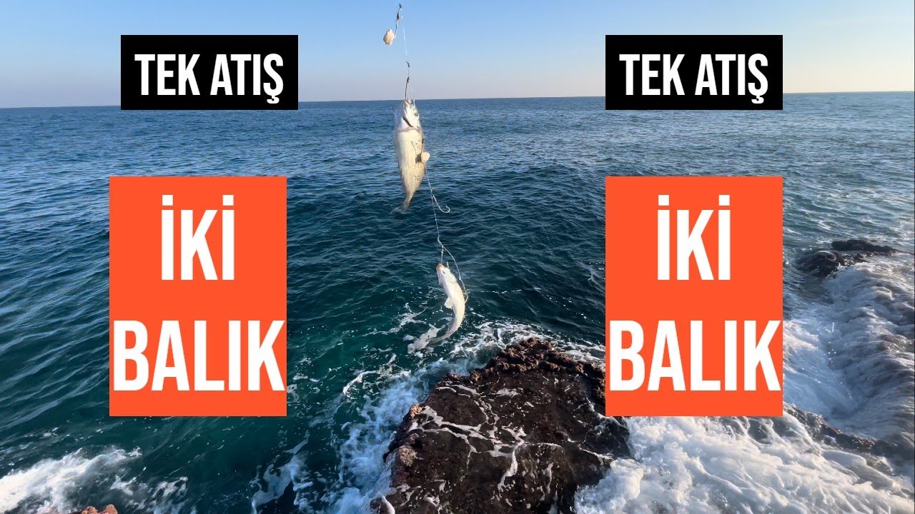Muhteşem Balıklar Yakaladım / Sokar Avı / Kıbrıs Oltası İle Balık avı