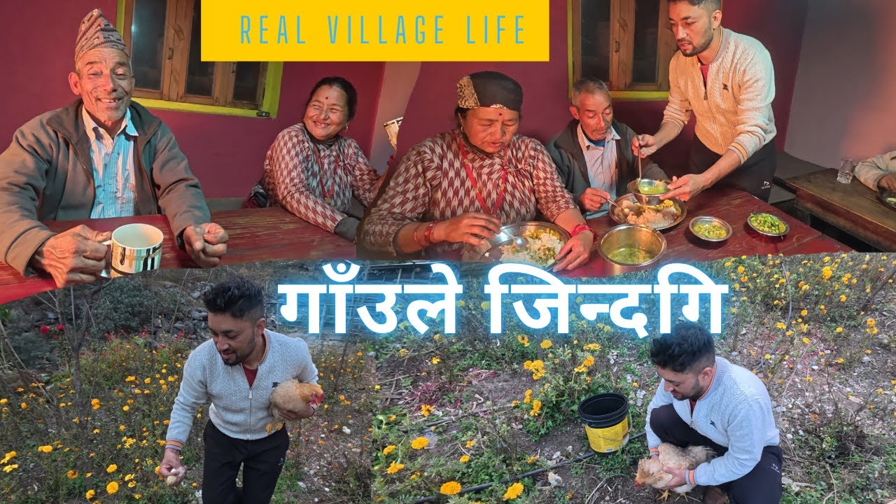 New Baby Chicks 🐤Aajako Khana Buwa Aama Ani Thulobuwa sanga • •Nepali Village lifestyle 