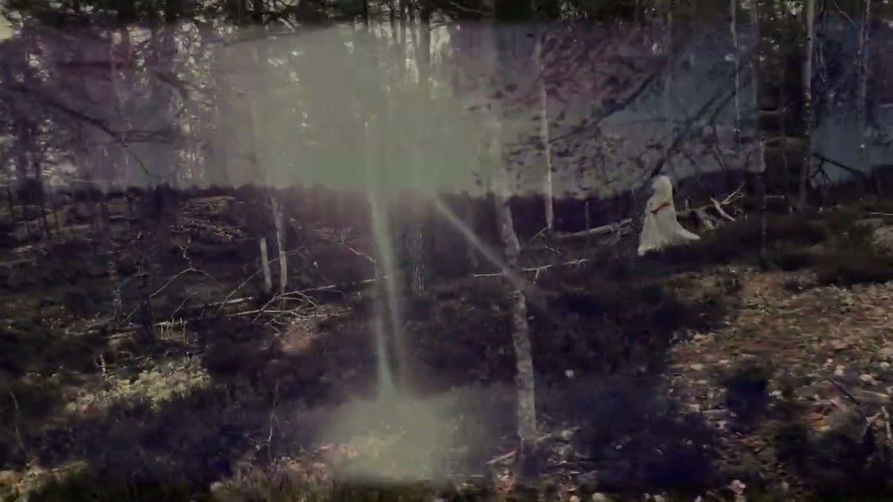 Beyond The Forest - feat. Mikael Åkerfeldt - Official Video