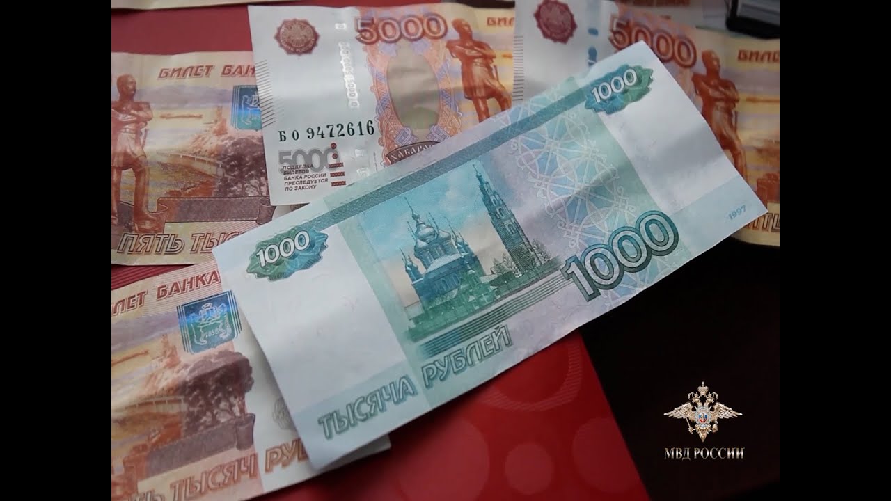 В Башкортостане полицейские пресекли незаконную банковскую деятельность
