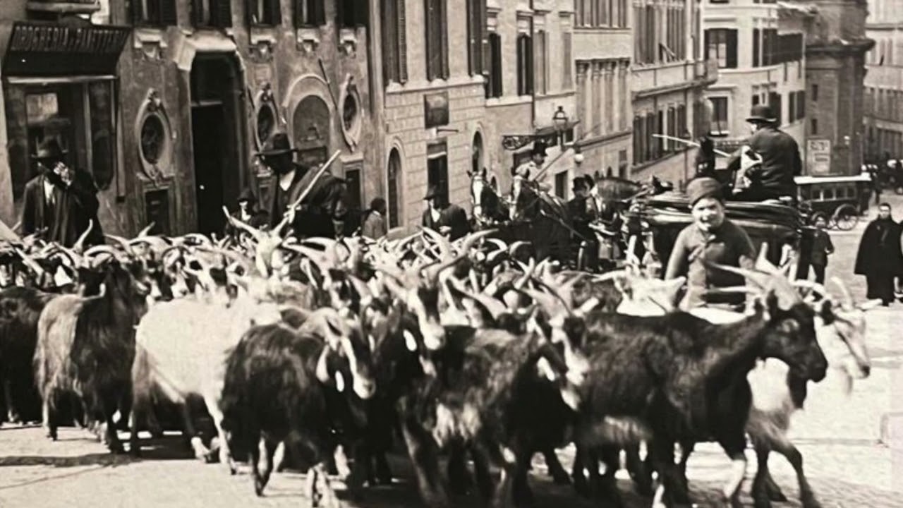 Guarda Roma  - Attimi di vita a Roma