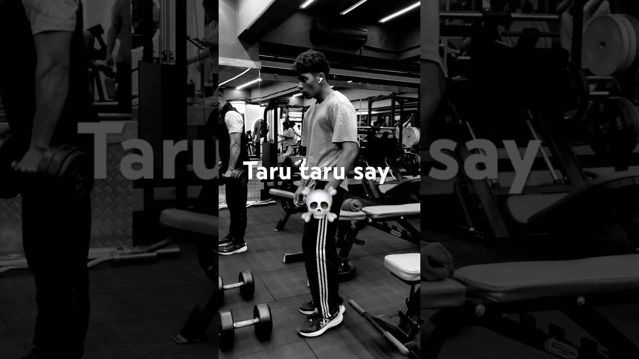 Taru taru say // mangogen todama phonk \\ 