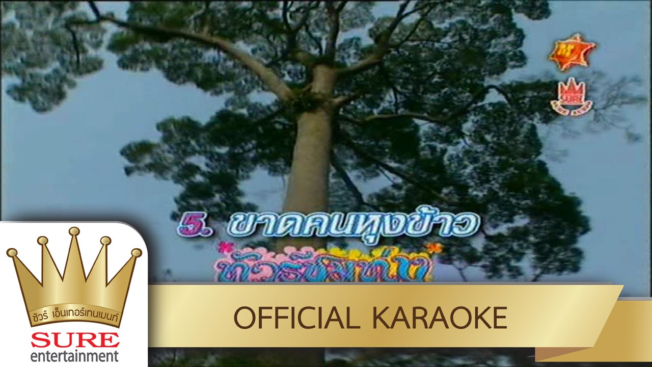 ขาดคนหุงข้าว - ดำรง วงศ์ทอง [KARAOKE OFFICIAL]