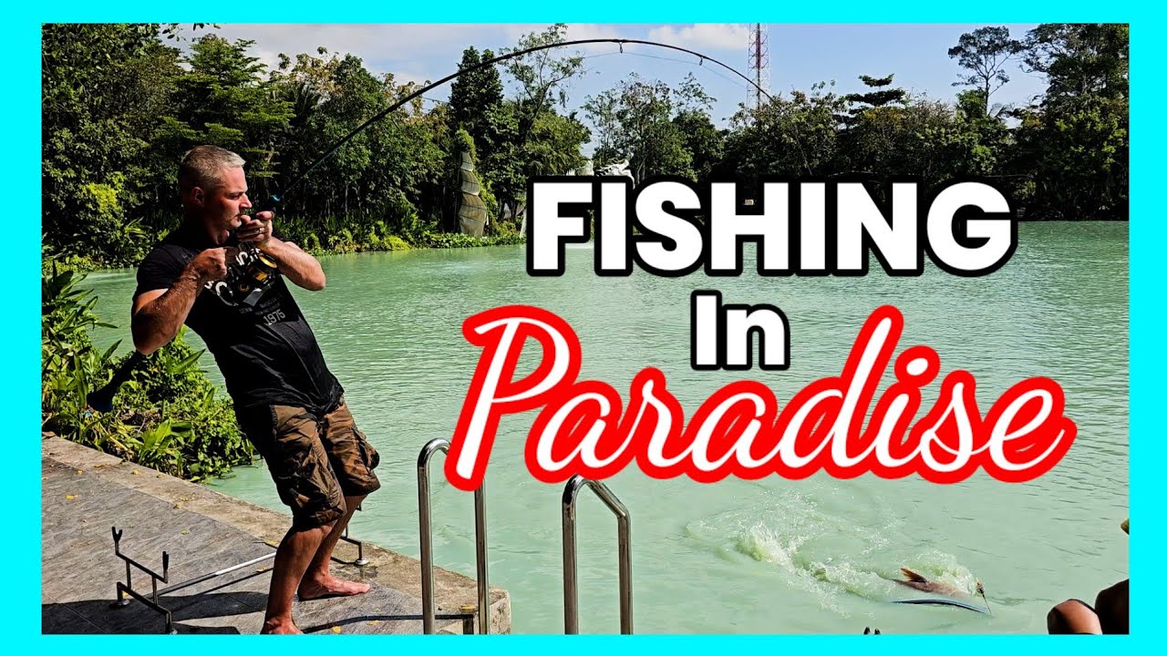 Fishing in PARADISE - Samui Fishing Club 1/3 #fishing #thailand #fish #video
