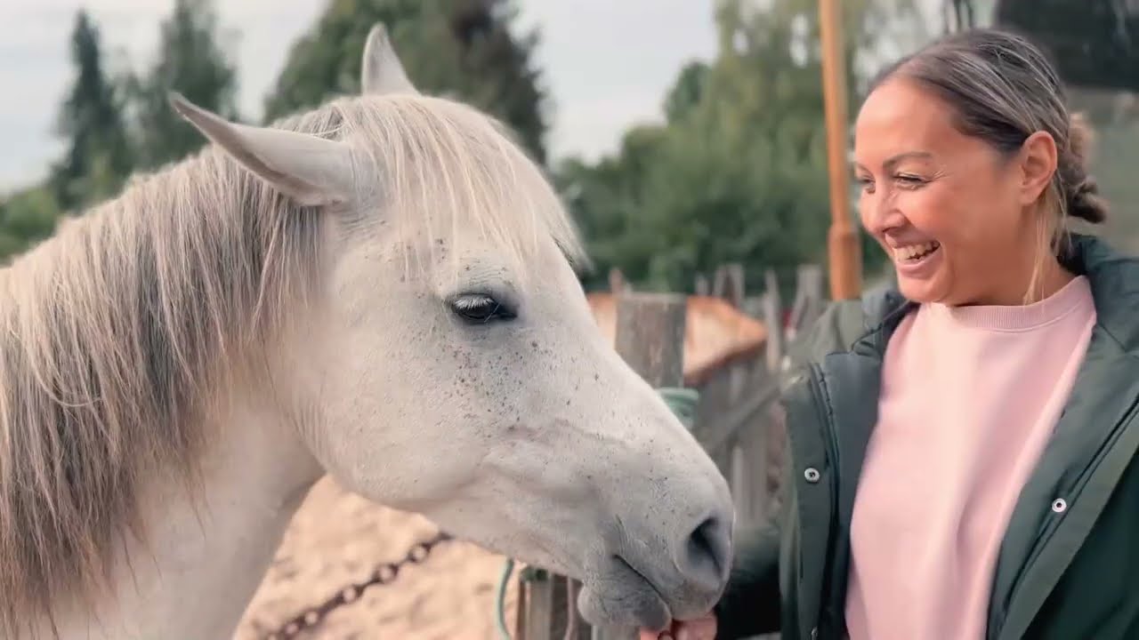 Systemische Therapie & Coaching met paarden