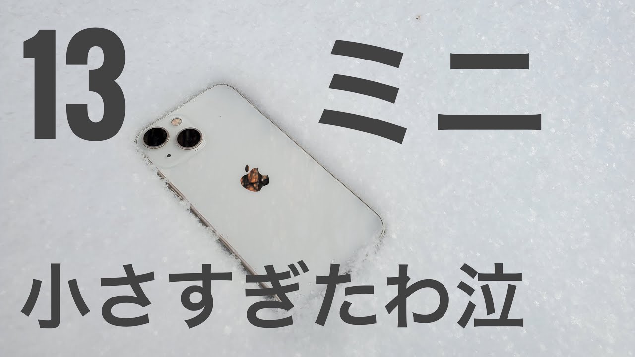 【迷ったら×】iPhone13ミニを11ヶ月使ってのレビュー【2023年】